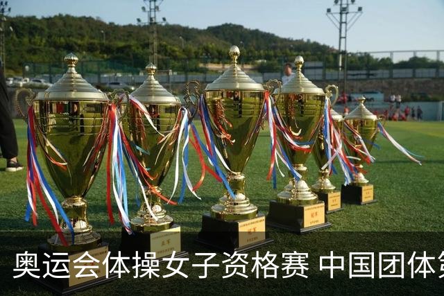 奥运会体操女子资格赛 中国团体第3拜尔斯4项第一